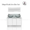 sink-bellagio-II-double-sink-silver-bowl